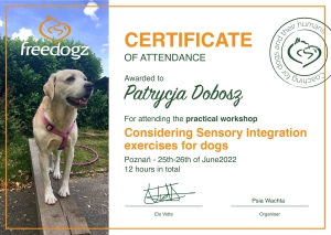 Dyplom Considering Sensory Integration exercises for dogs - Els Vidts