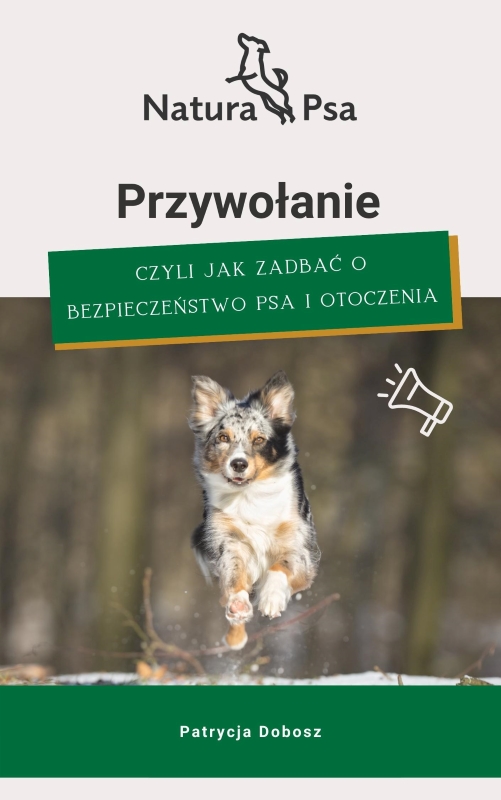 Ebook - Przywołanie czyli jak zadbać o bezpieczeństwo psa i otoczenia