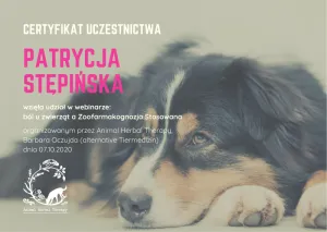 Dyplom Ból u zwierząt a zoofarmakognozja stosowana - Barbara Oczujda