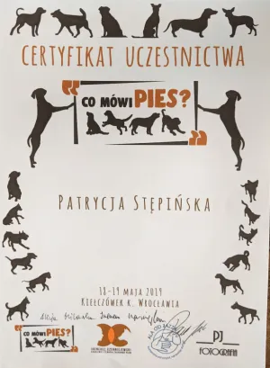 Dyplom Co mówi pies - Ireneusz Czerniejewski - Alicja Milewska