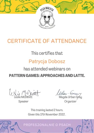 Dyplom Pattern games approaches and latte - Leslie McDevitt