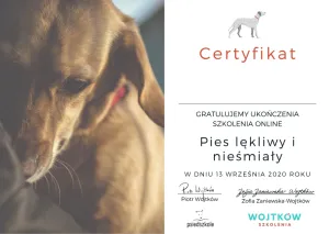 Dyplom Pies lękliwy i nieśmiały - Wojtków Szkolenia
