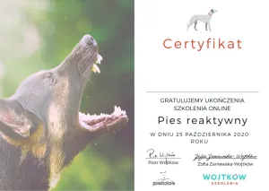 Dyplom Pies reaktywny - Wojtków Szkolenia