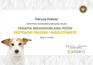 Dyplom Przypadki trudne i nieoczywiste - Agnieszka Grynkiewicz