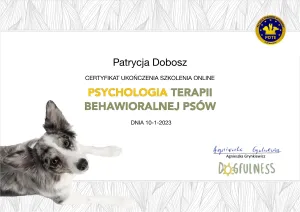 Dyplom Psychologia terapii behawioralnej psów - Agnieszka Grynkiewicz