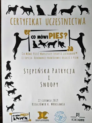 Dyplom Warsztaty terapii zachowań - Co Mówi Pies - Ireneusz Czerniejewski - Alicja Milewska