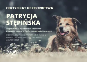 Dyplom Zwierzęca starość a zoofarmakognozja stosowana - Barbara Oczujda