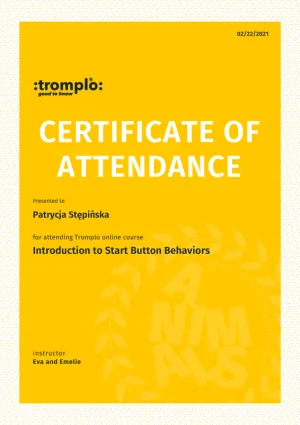 Dyplom Introduction to Start Button Behaviors - Eva Bertilsson - Emelie Johnson Vegh - Tromplo